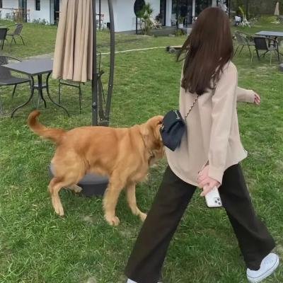 女孩
